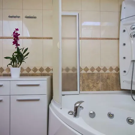 Selak Apartment *