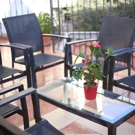 Apartment Selak *