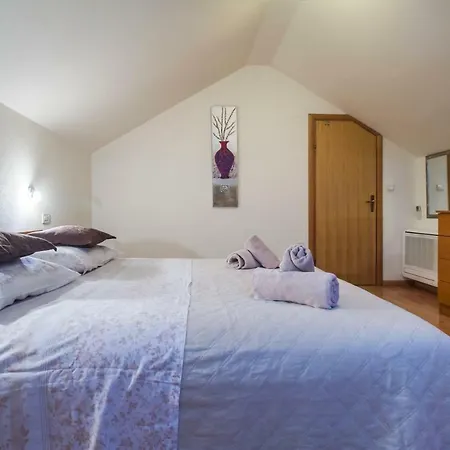 Selak Apartment *